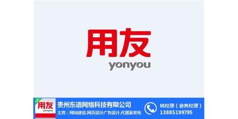 貴州東語 圖 、貴陽中小型企業(yè)財(cái)務(wù)軟件、財(cái)務(wù)軟件